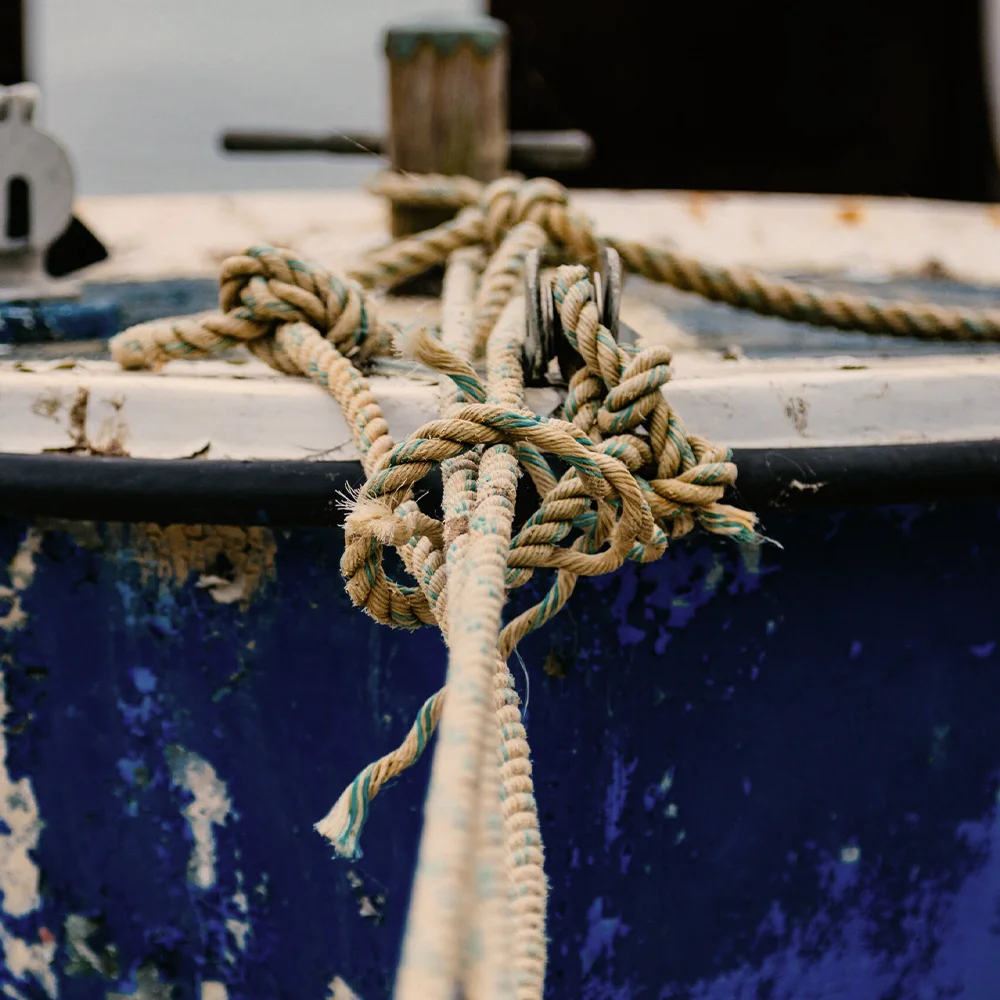 Advies en begeleiding van organisaties