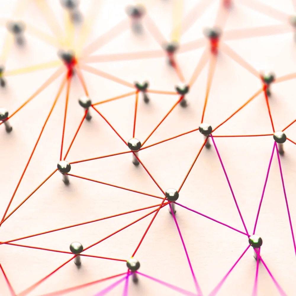Advies en begeleiding van organisaties